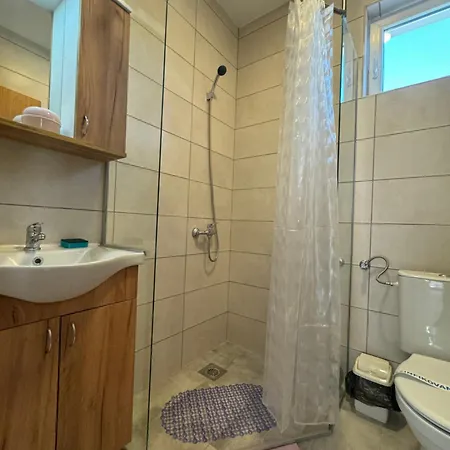 Vas Dom Apartment Soko Banja
