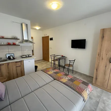 Apartment Vas Dom Soko Banja