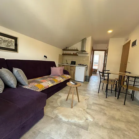 Apartment Vas Dom
