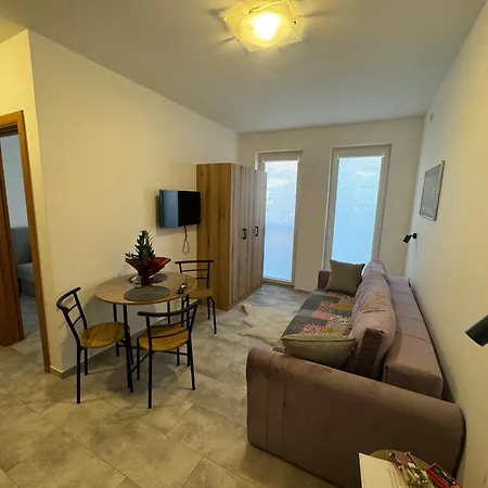 Apartment Vas Dom