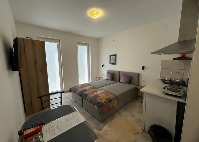 아파트 Vas Dom 소코 반자